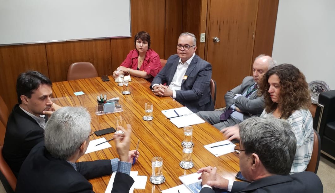 ANDES-SN participa de reunião com GT da Câmara dos Deputados responsável por avaliar e acompanhar o sistema universitário brasileiro
