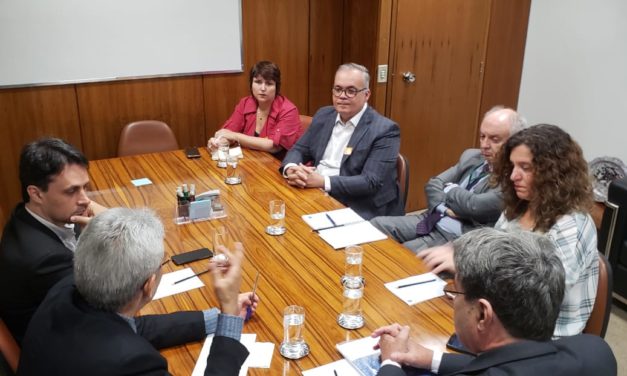 ANDES-SN participa de reunião com GT da Câmara dos Deputados responsável por avaliar e acompanhar o sistema universitário brasileiro