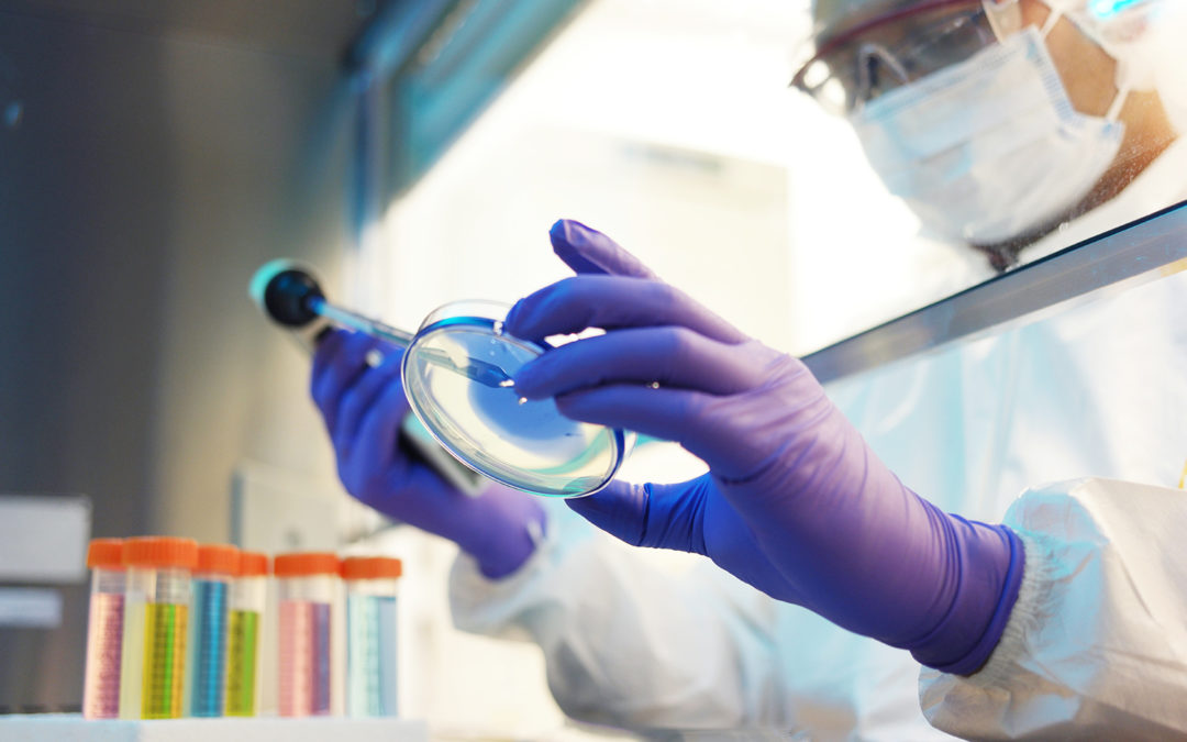 Pesquisadores da UESC e UESB tentam descobrir solução contra a Covid-19