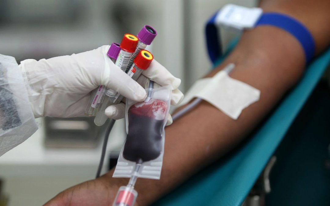 Hemocentros não cumprem determinação do STF que derruba restrição de doação de sangue por homossexuais