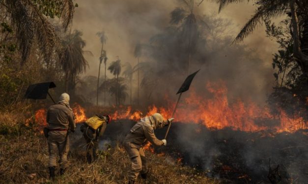 Pantanal em chamas: mais uma tragédia da política criminosa do Bolsonaro, Mourão e Ricardo Salles
