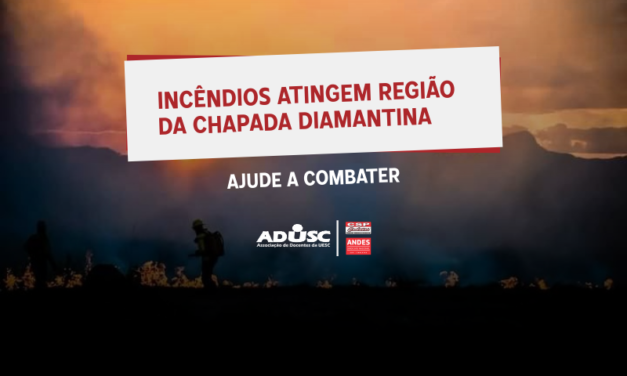 Incêndios atingem região da Chapada Diamantina