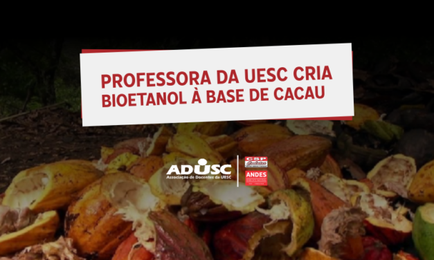 Professora da UESC cria bioetanol à base de cacau