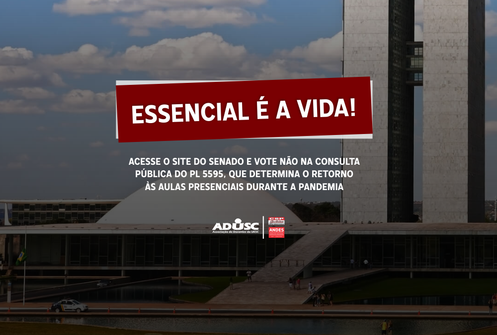 Senado pode aprovar o PL 5595/2020; Vote contra