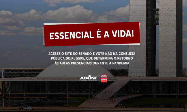 Senado pode aprovar o PL 5595/2020; Vote contra