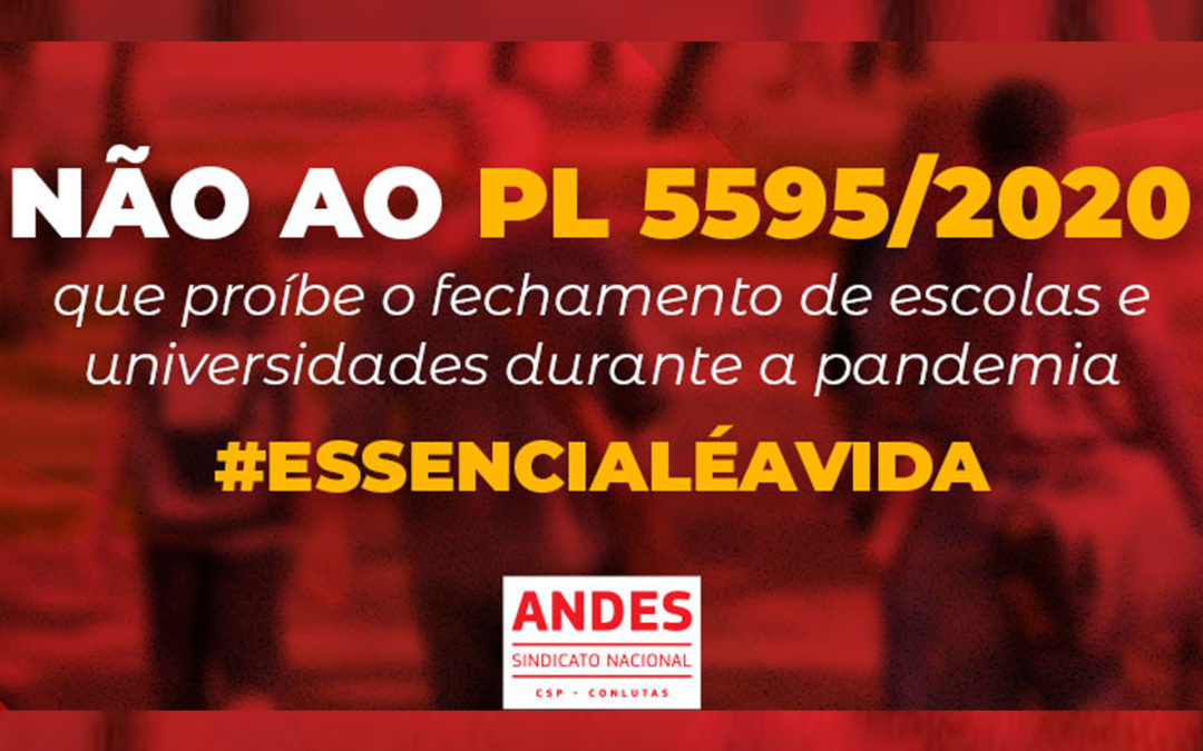 Após pressão, Senado adia votação de PL que obriga retorno às aulas presenciais