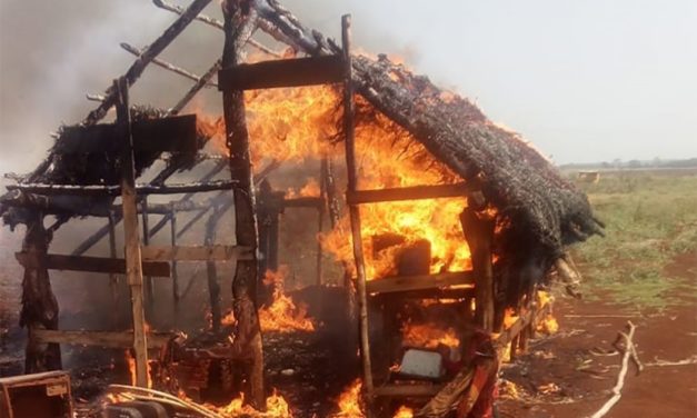 Guarani Kaiowá denunciam ataques com bombas, incêndio e pulverização de agrotóxico em Dourados (MS)