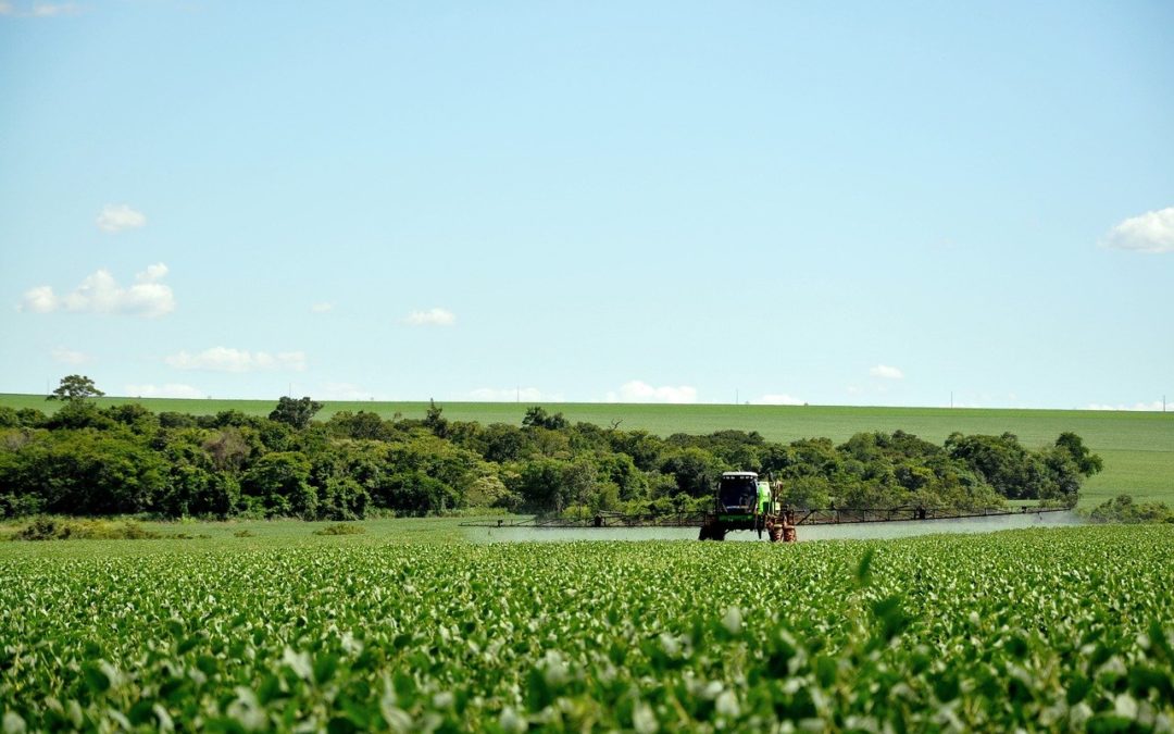 PL do Veneno: Câmara aprova projeto que facilita o uso de agrotóxicos no Brasil