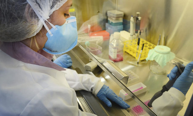 Número de bolsas para pesquisas científicas cai 17,5% na gestão de Jair Bolsonaro