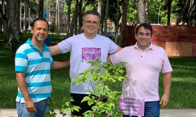 Luz, professora Marlene Dantas!