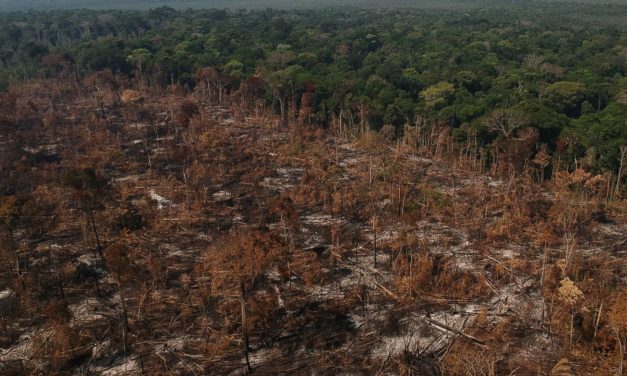 Agronegócio foi responsável por 97% do desmatamento no Brasil em 2021, aponta relatório