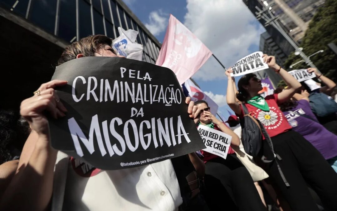 ANDES-SN defende urgência na aprovação do PL que criminaliza a misoginia