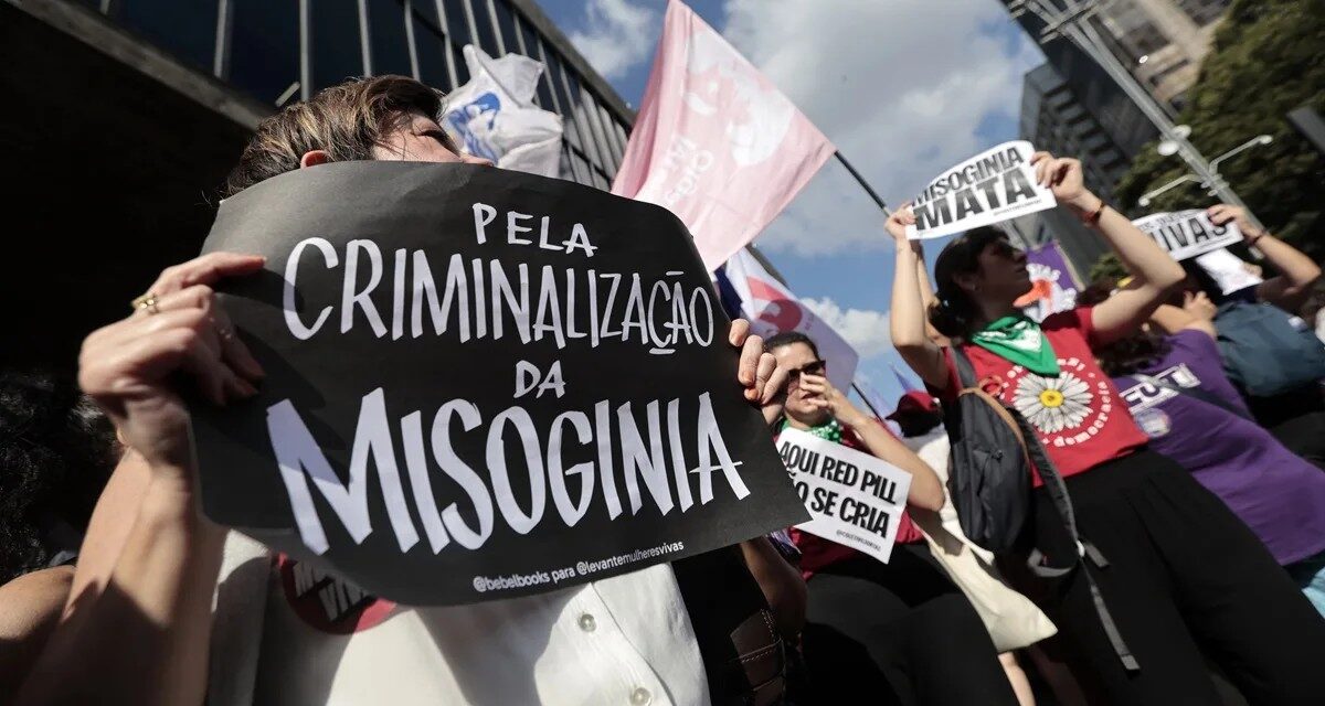 ANDES-SN defende urgência na aprovação do PL que criminaliza a misoginia