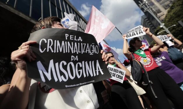 ANDES-SN defende urgência na aprovação do PL que criminaliza a misoginia
