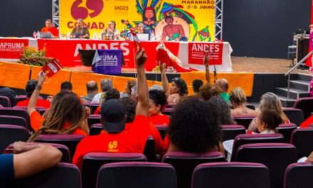 Plenária do Tema II do 69º Conad atualiza planos de lutas e aprova entrada do ANDES-SN no FNE